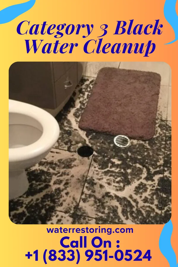 Category 3 Black Water Cleanup in Seabrook, TX