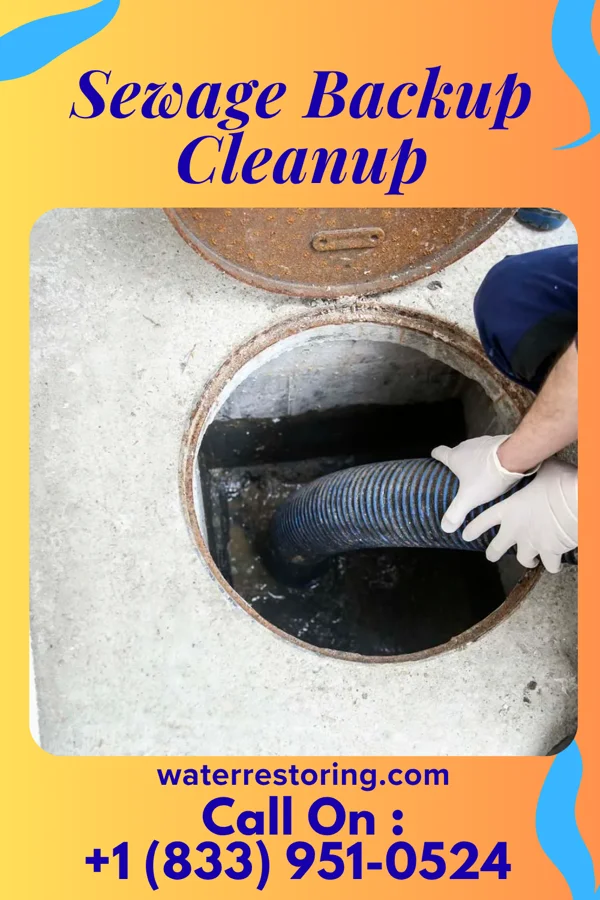 Sewage Backup Cleanup in Seabrook, TX